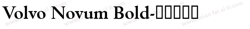 Volvo Novum Bold字体转换